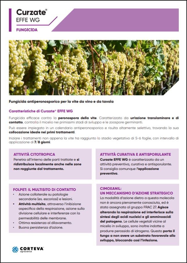 Anteprima della brochure del fungicida Curzate EFFE WG