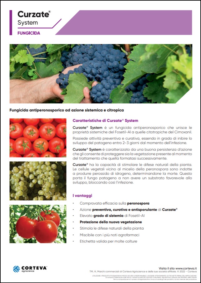 Anteprima della brochure del fungicida Curzate System