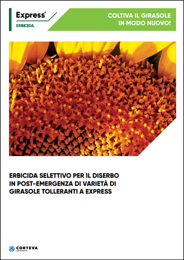 Anteprima della brochure dell'erbicida Express per il girasole