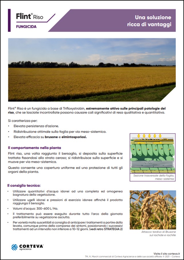 Anteprima della brochure del fungicida Flint Riso