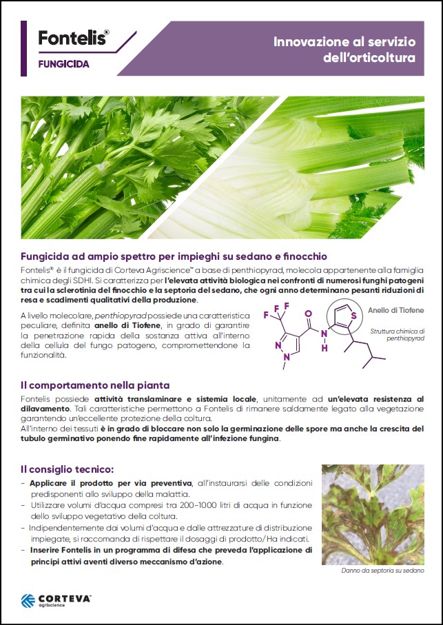 Anteprima della brochure del fungicida Fontelis per il sedano