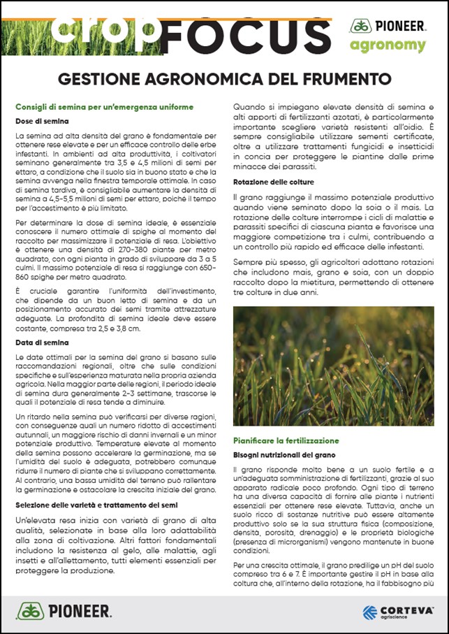 Immagine di anteprima dell'articolo