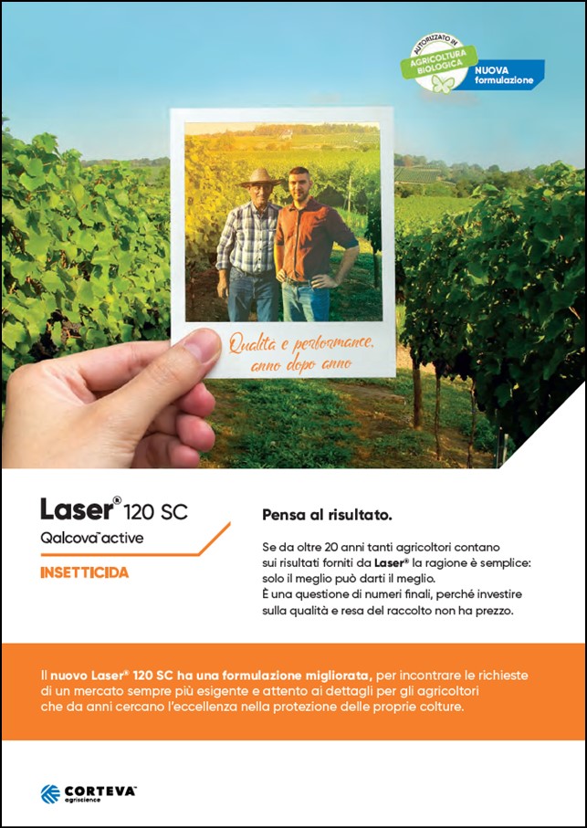 Anteprima della brochure dell'insetticida Laser 120 SC per vite da vino