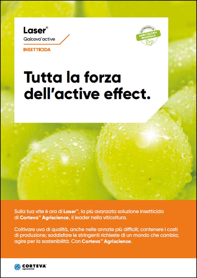 Anteprima della brochure dell'insetticida Laser per vite da tavola