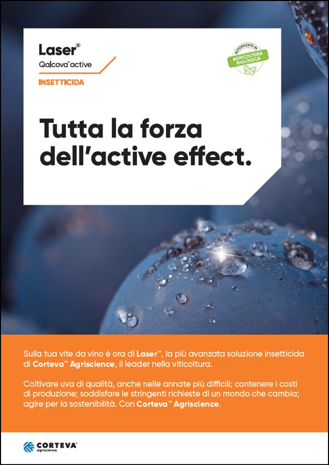 Anteprima della brochure dell'insetticida Laser per vite da vino