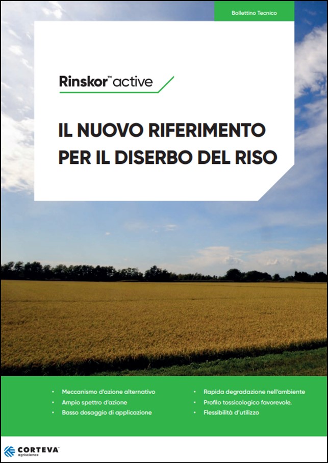 Anteprima della brochure della linea  per il riso 