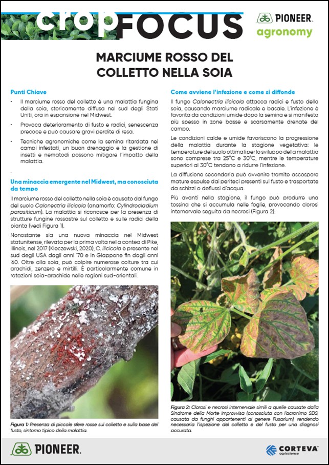 Immagine di anteprima dell'articolo