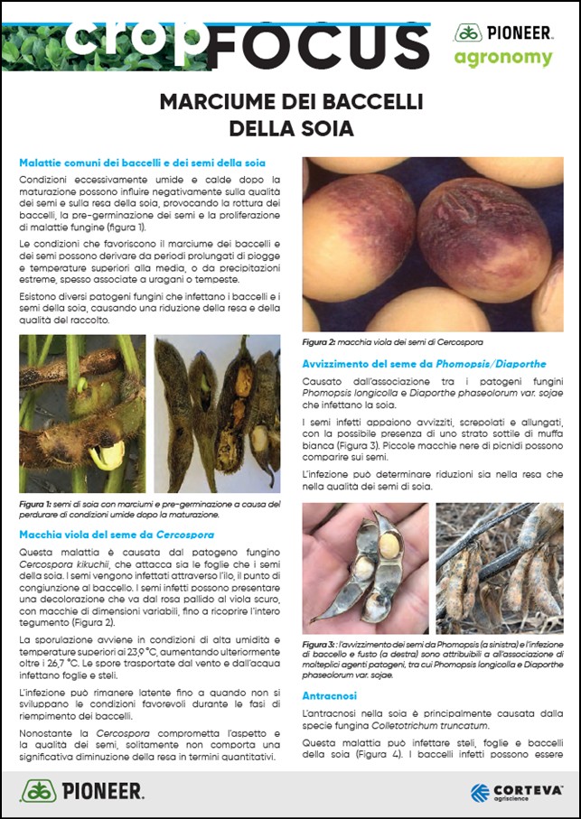 Immagine di anteprima dell'articolo