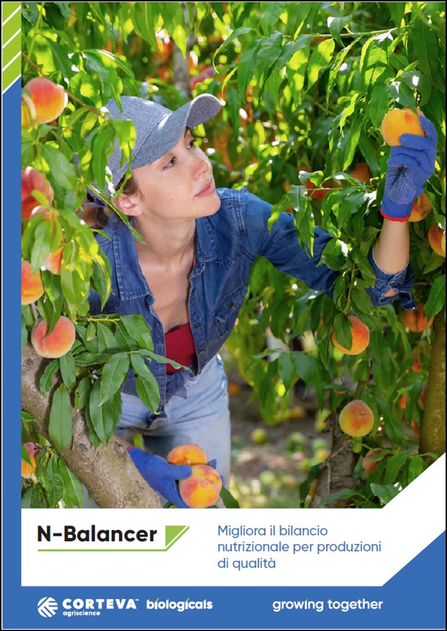 Anteprima della brochure di N-Balancer