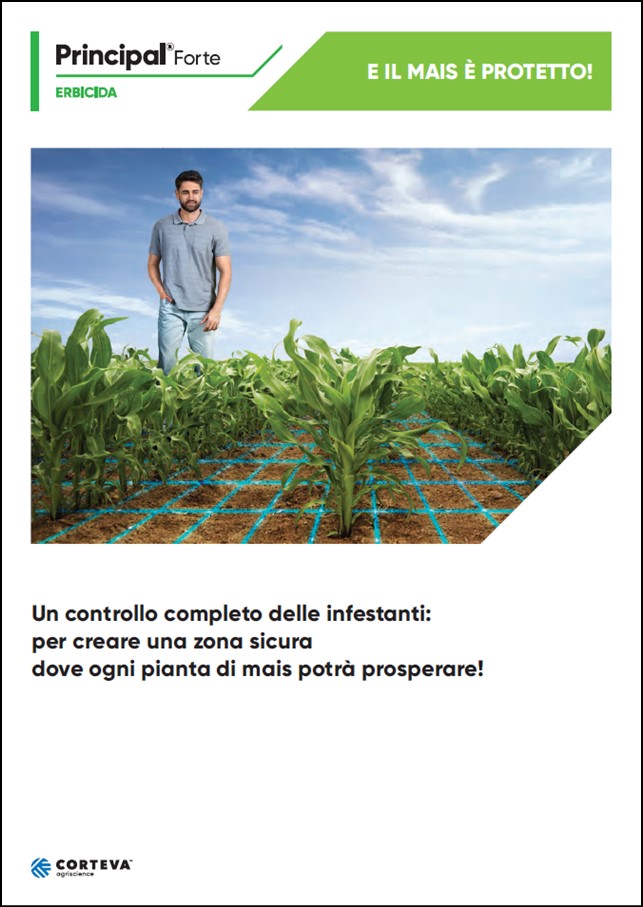 Anteprima della brochure dell'erbicida Principal Forte per il mais