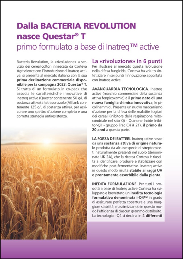 Immagine di anteprima dell'articolo