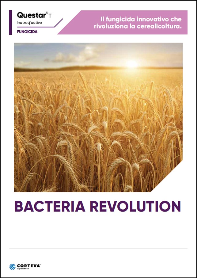 Anteprima della brochure del fungicida QuestarT per i cereali