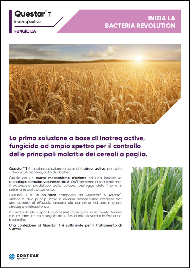 Anteprima della brochure del fungicida QuestarT per i cereali