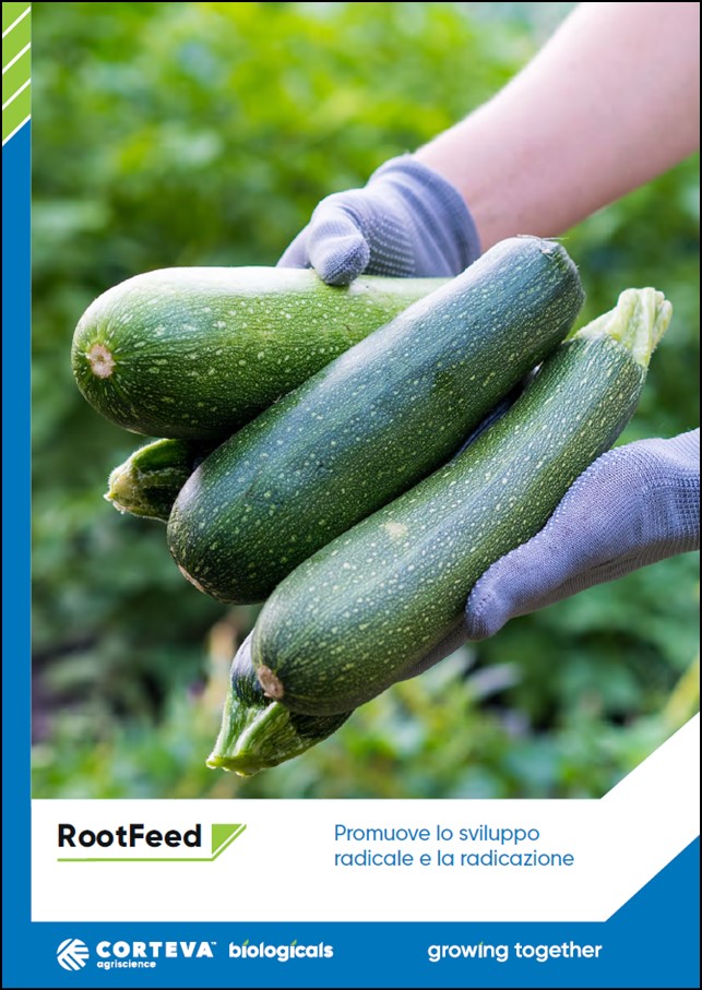Anteprima della brochure di Root Feed per le colture orticole