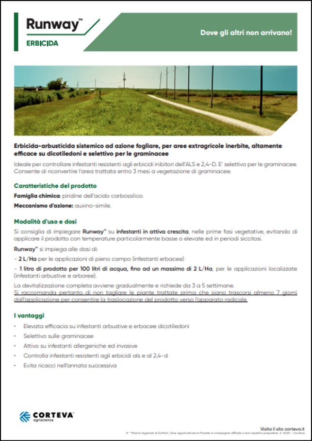 Anteprima della brochure dell'erbicida Runway