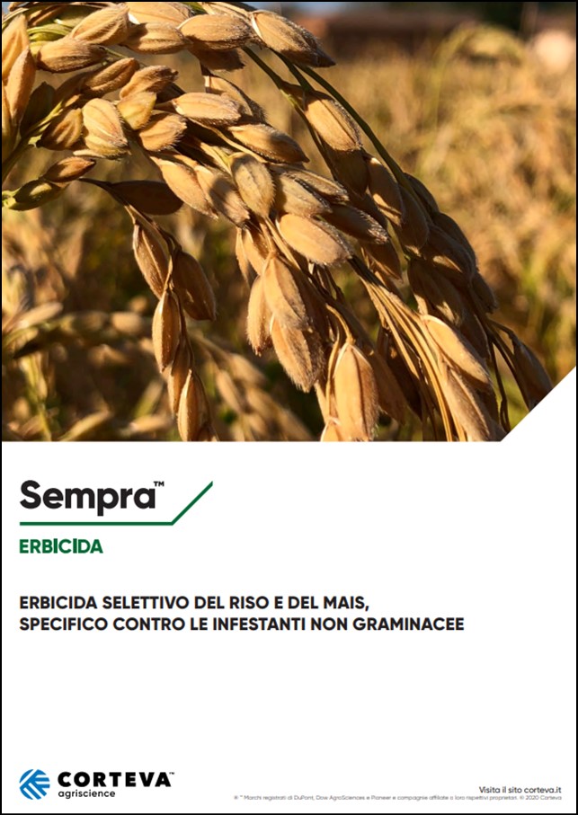 Anteprima della brochure dell'erbicida Sempra per il riso