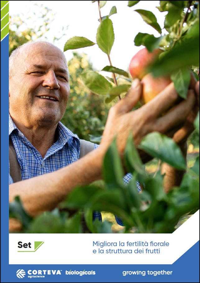 Anteprima della brochure di Set