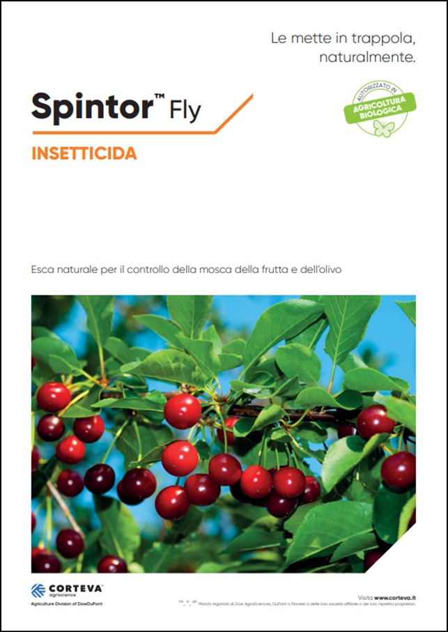 Anteprima della brochure dell'insetticida Spintor Fly per drupacee