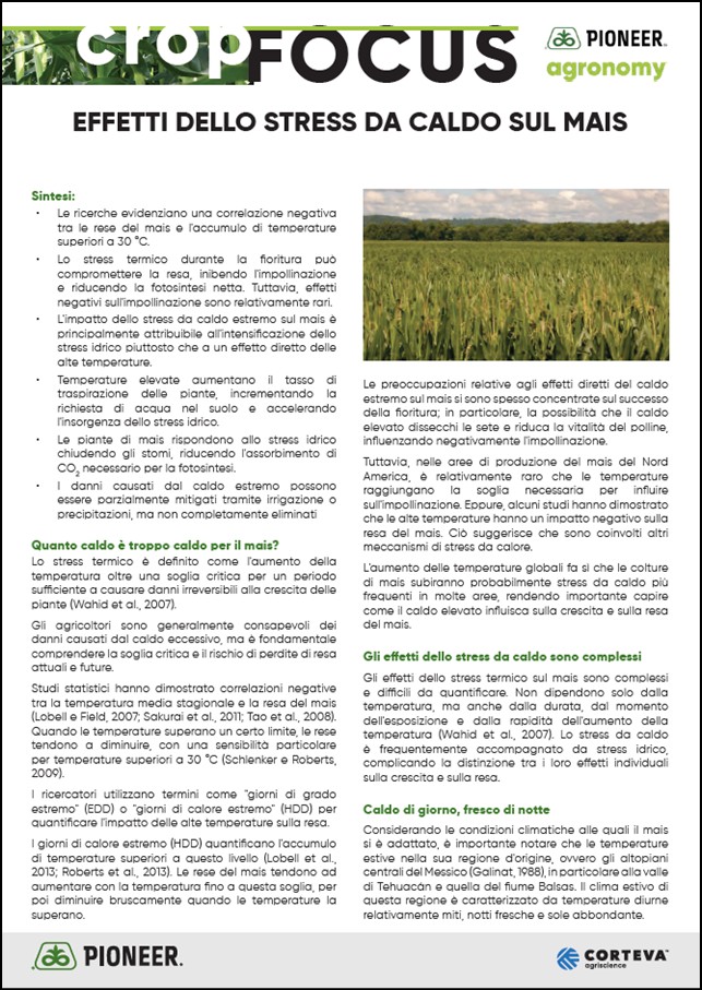 Immagine di anteprima dell'articolo