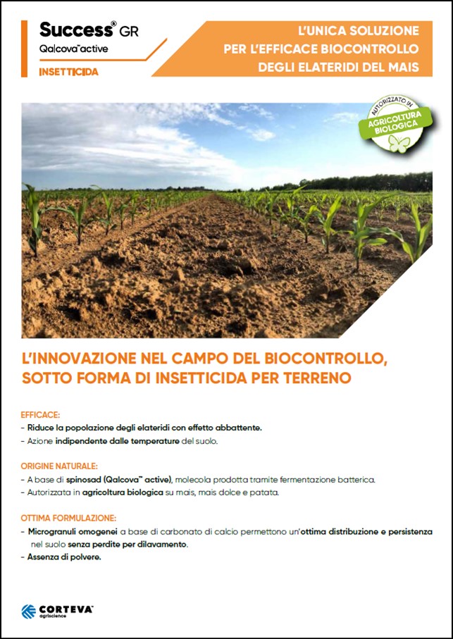Anteprima della brochure dell'insetticida Success GR per il mais