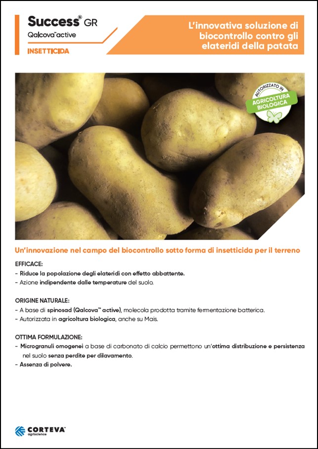 Anteprima della brochure dell'insetticida Success GR per la patata