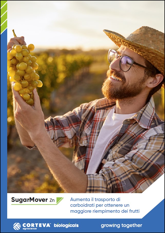 Anteprima della brochure di Sugar Mover Zn