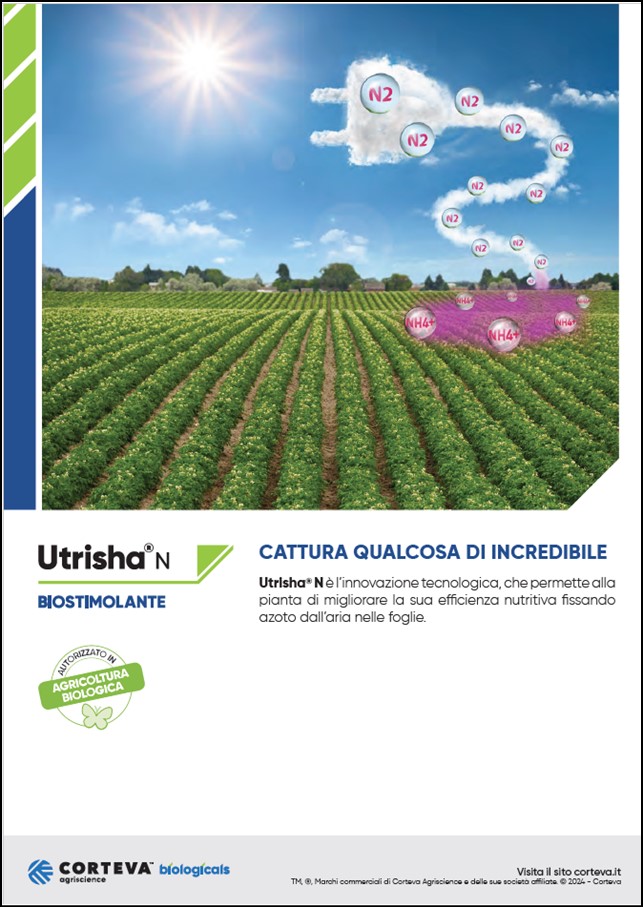 Anteprima della brochure di UtrishaN