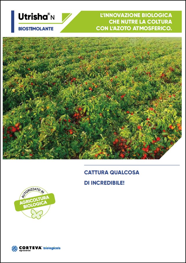 Anteprima della brochure di UtrishaN per pomodoro da industria