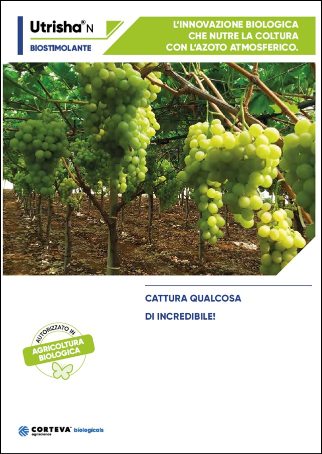 Anteprima della brochure di UtrishaN per la vite