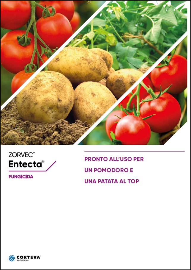 Anteprima della brochure del fungicida Zorvec Entecta