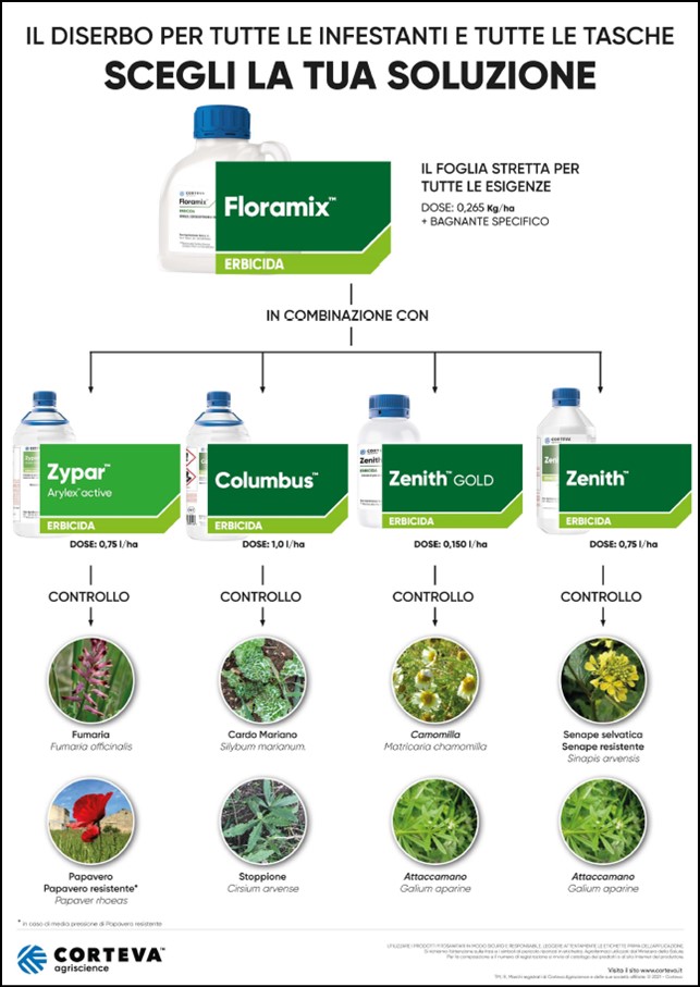 Anteprimadel volantino della linea Floramix