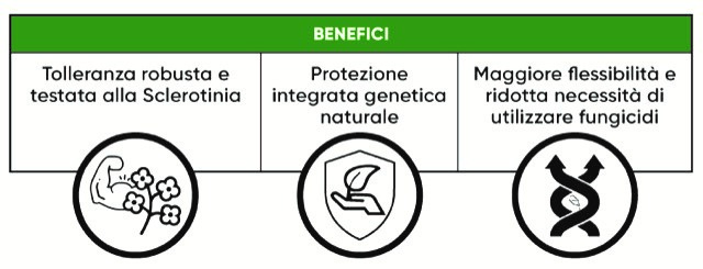 vantaggi del carattere Protector