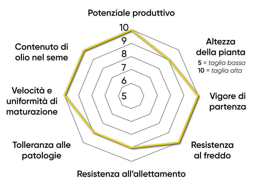 caratteristiche dell'ibrido di colza Pioneer PT302