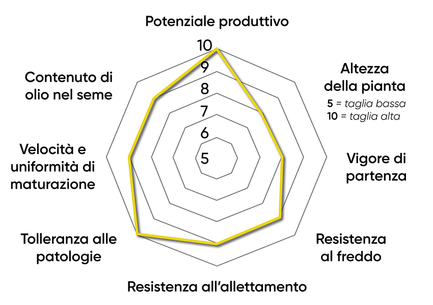 caratteristiche dell'ibrido di colza Pioneer PX144