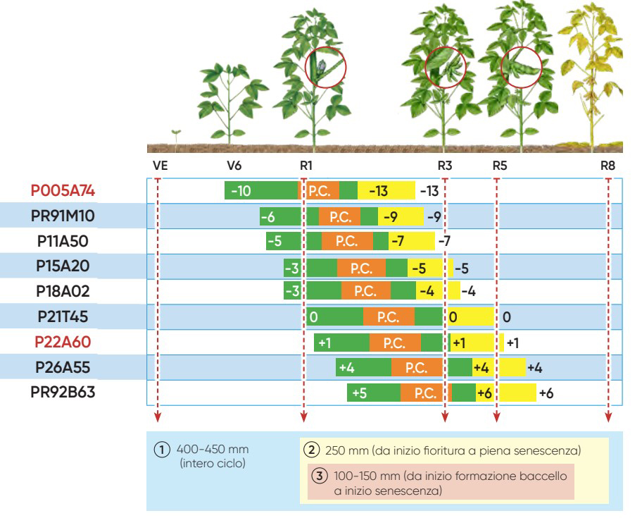 grafico con il profilo fisiologico delle soie pioneer