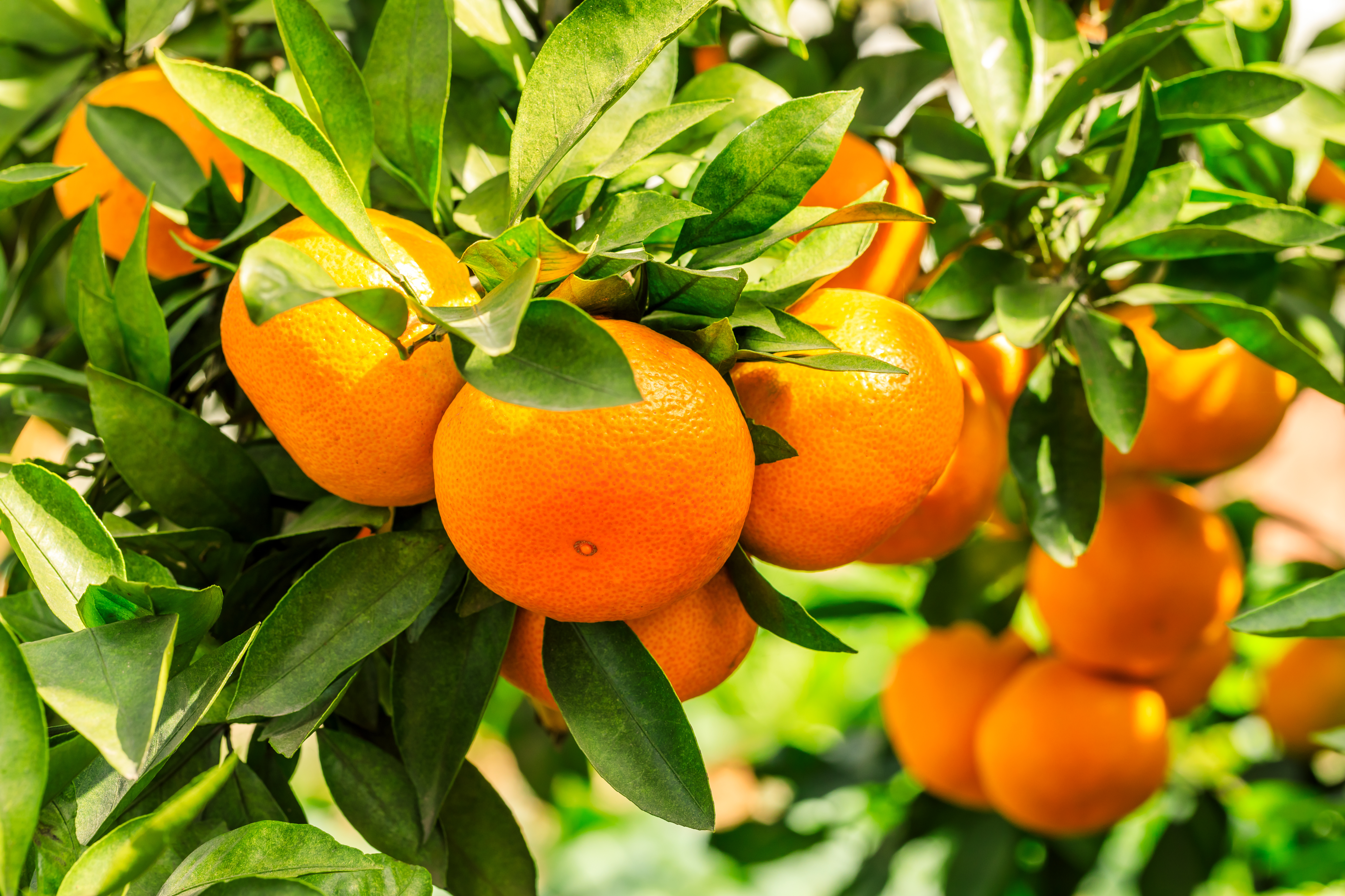 IMG-AdobeStock_310198165