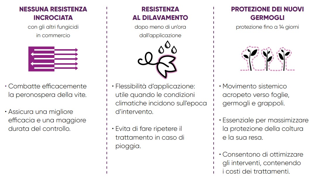 caratteristiche di Zorvec active