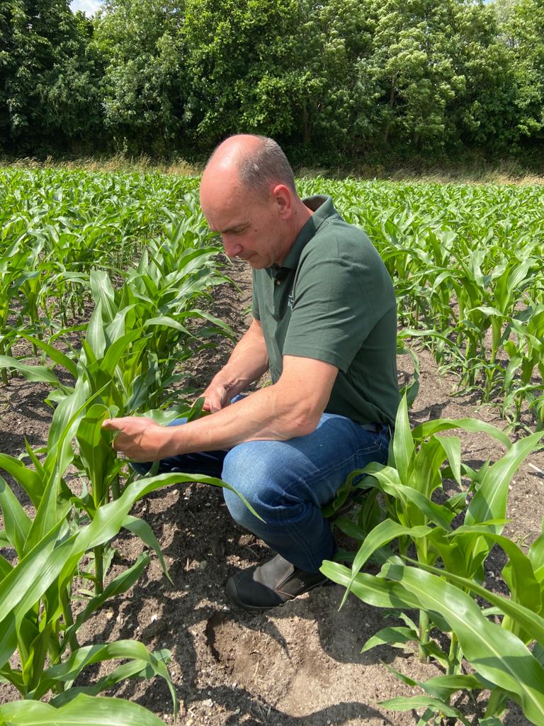 IMG-Erik_Riphagen-Corteva-EU-NL