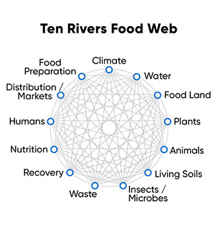 Ten Rivers Food Web infographic