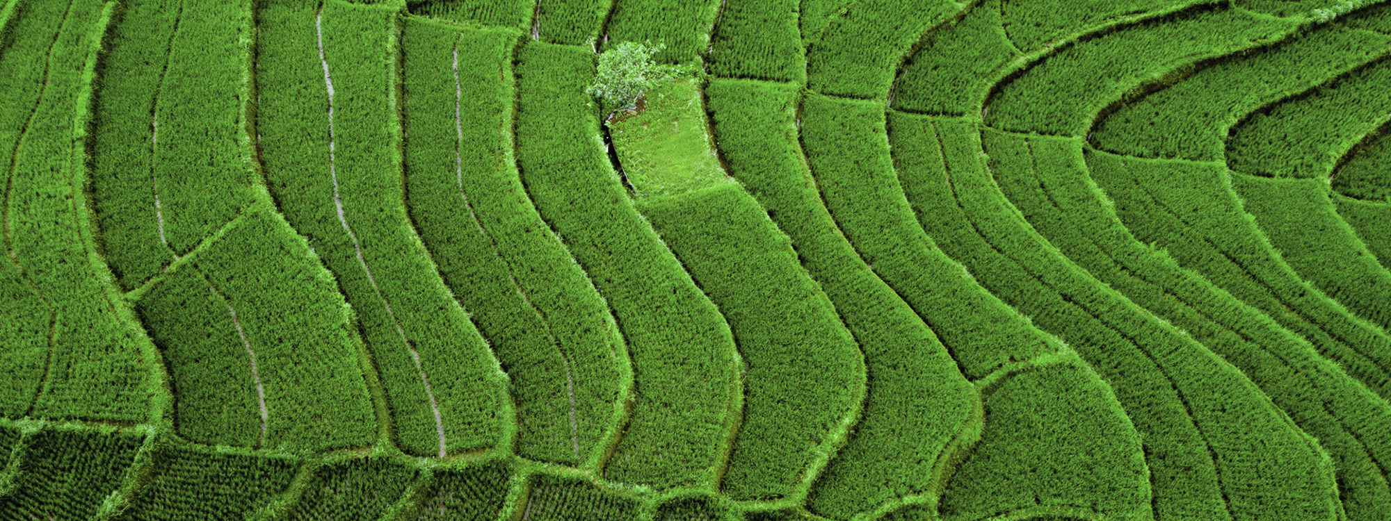 multiple headshots of many people