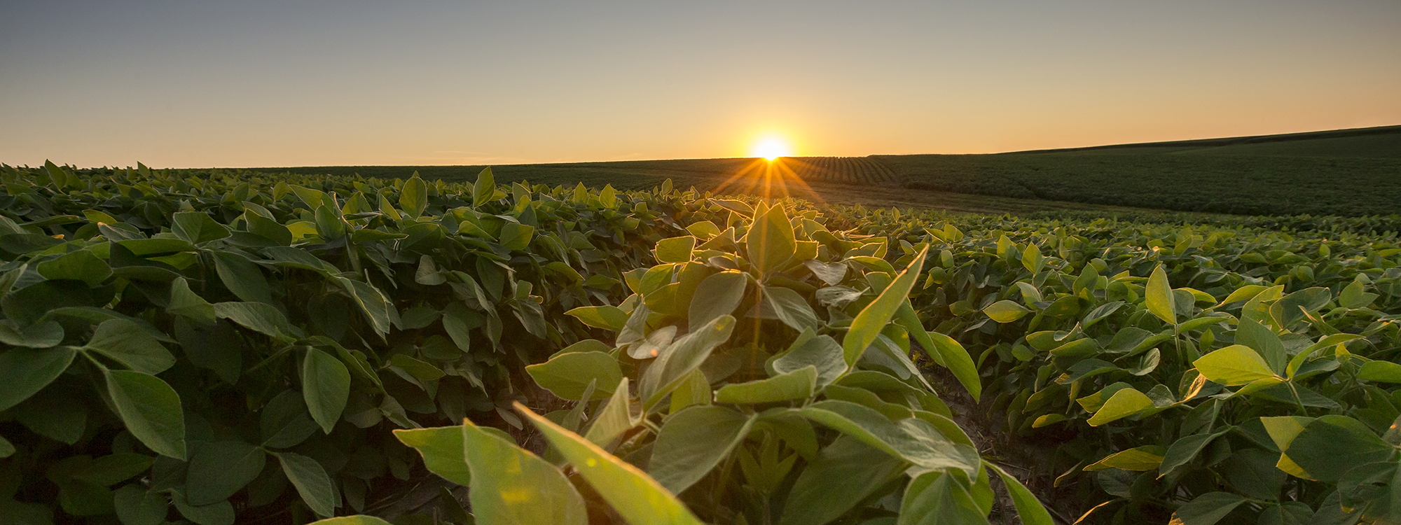 multiple headshots of many people