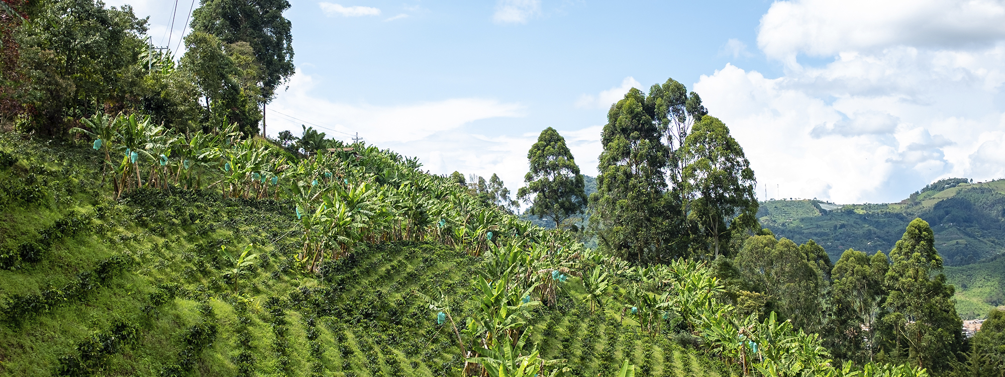 multiple headshots of many people
