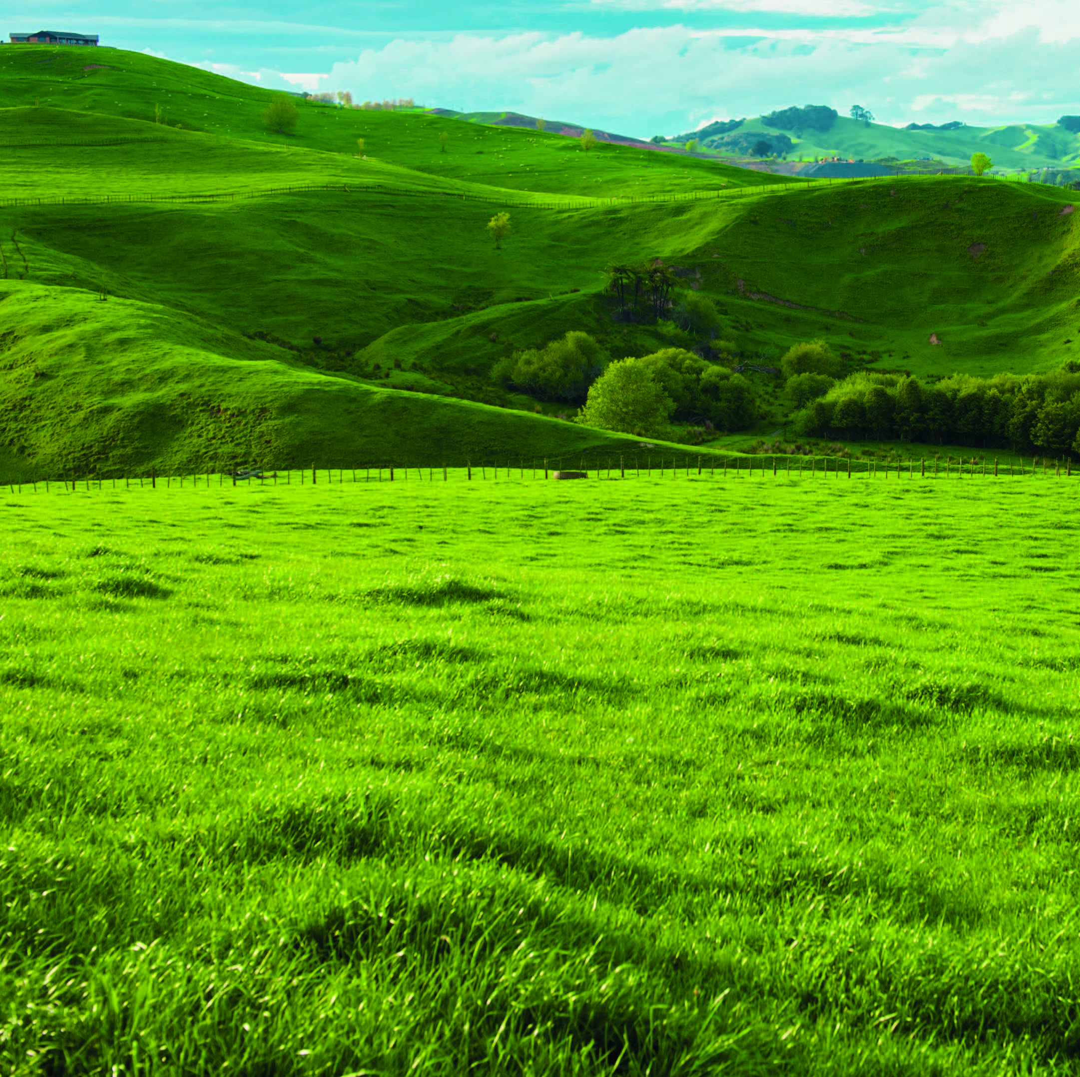 Fieldland