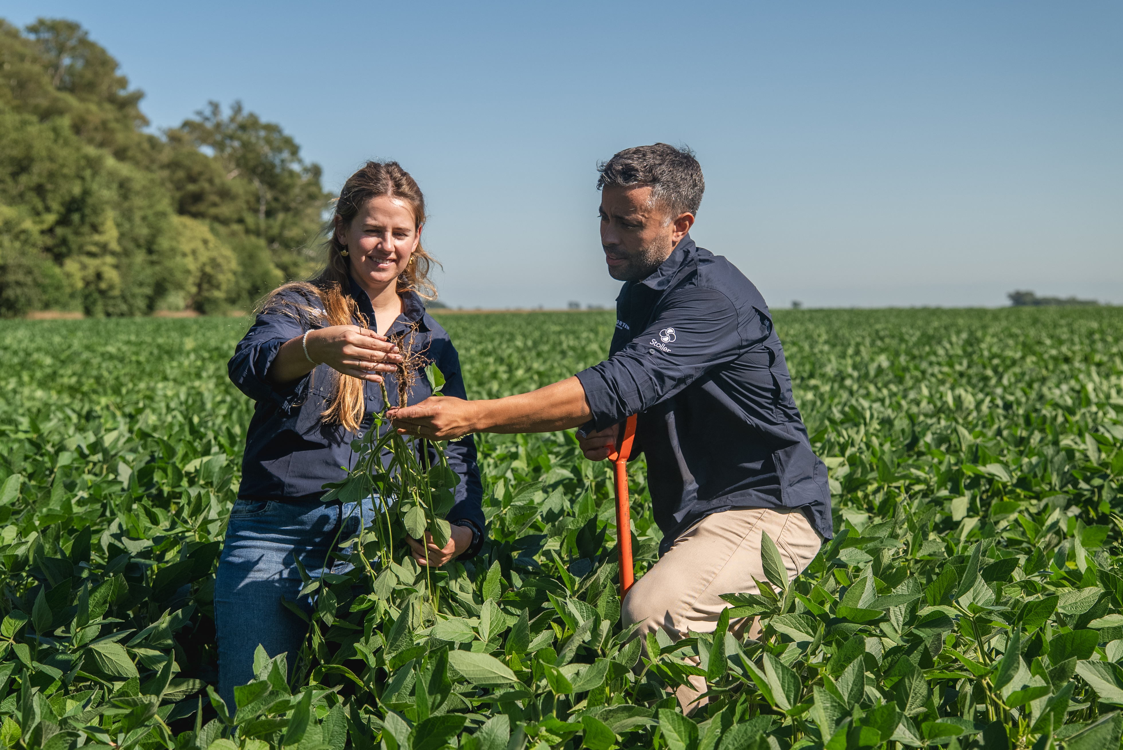 Unlocking Maximum Yield Potential