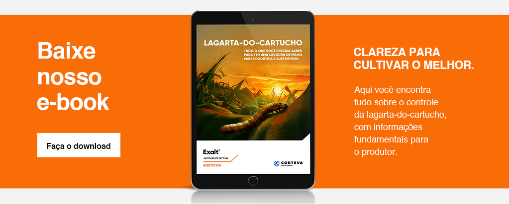 Click do download e-book