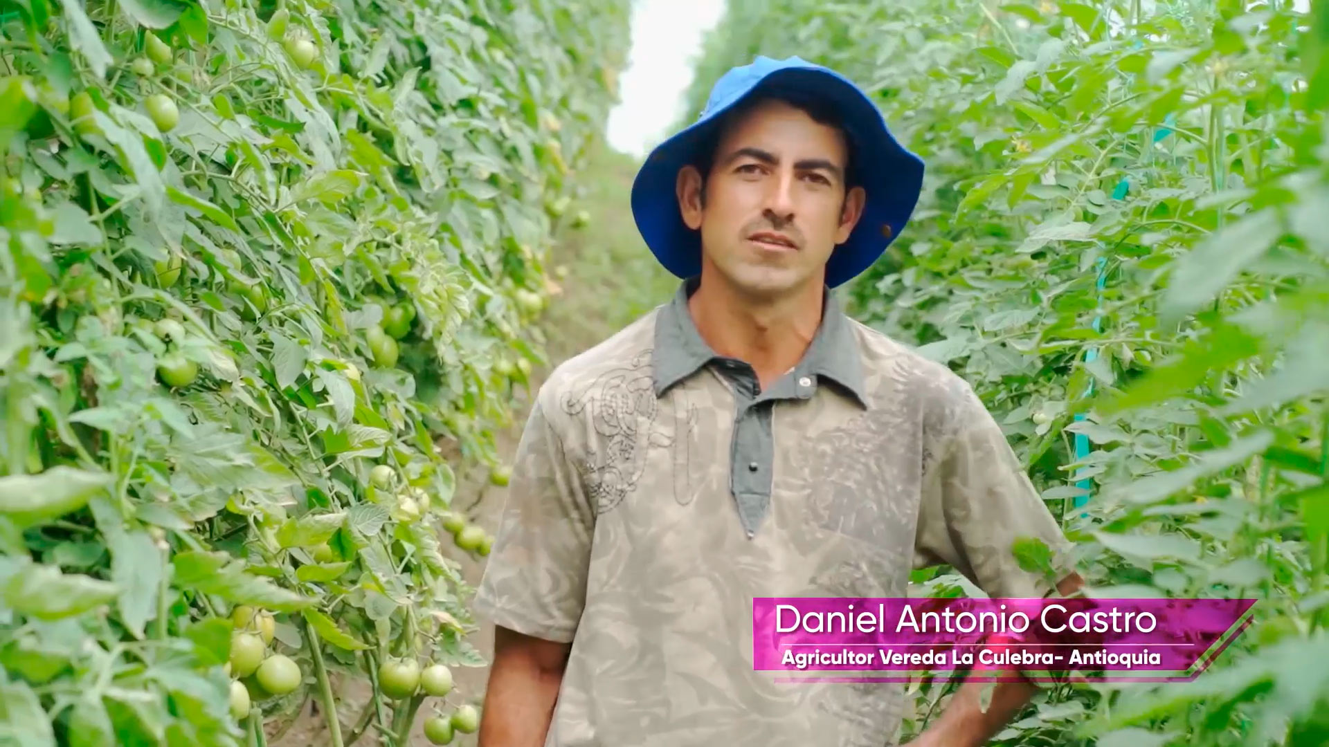 Antioquia-Zorvec-Daniel-Antonio