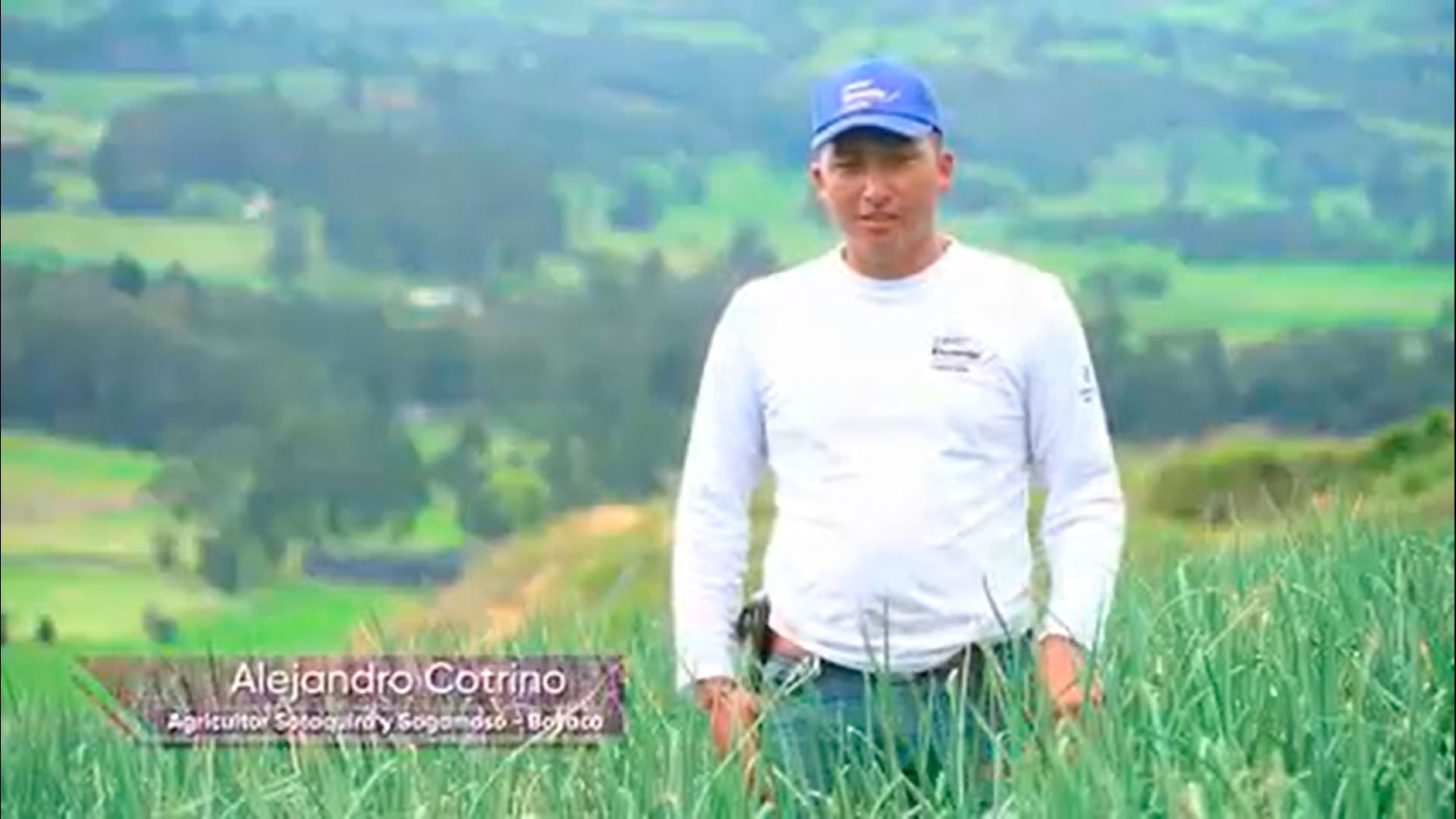 Testimonial Zorvec Encantia 1