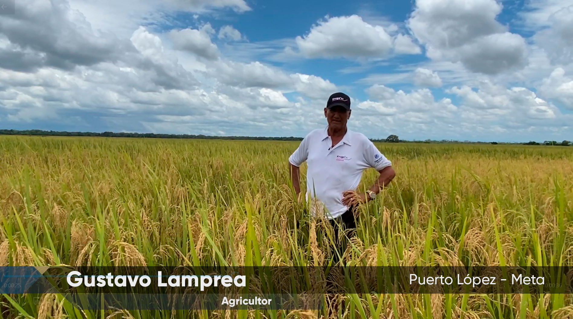 1TESTIMONIO TRIUMPH ALTA