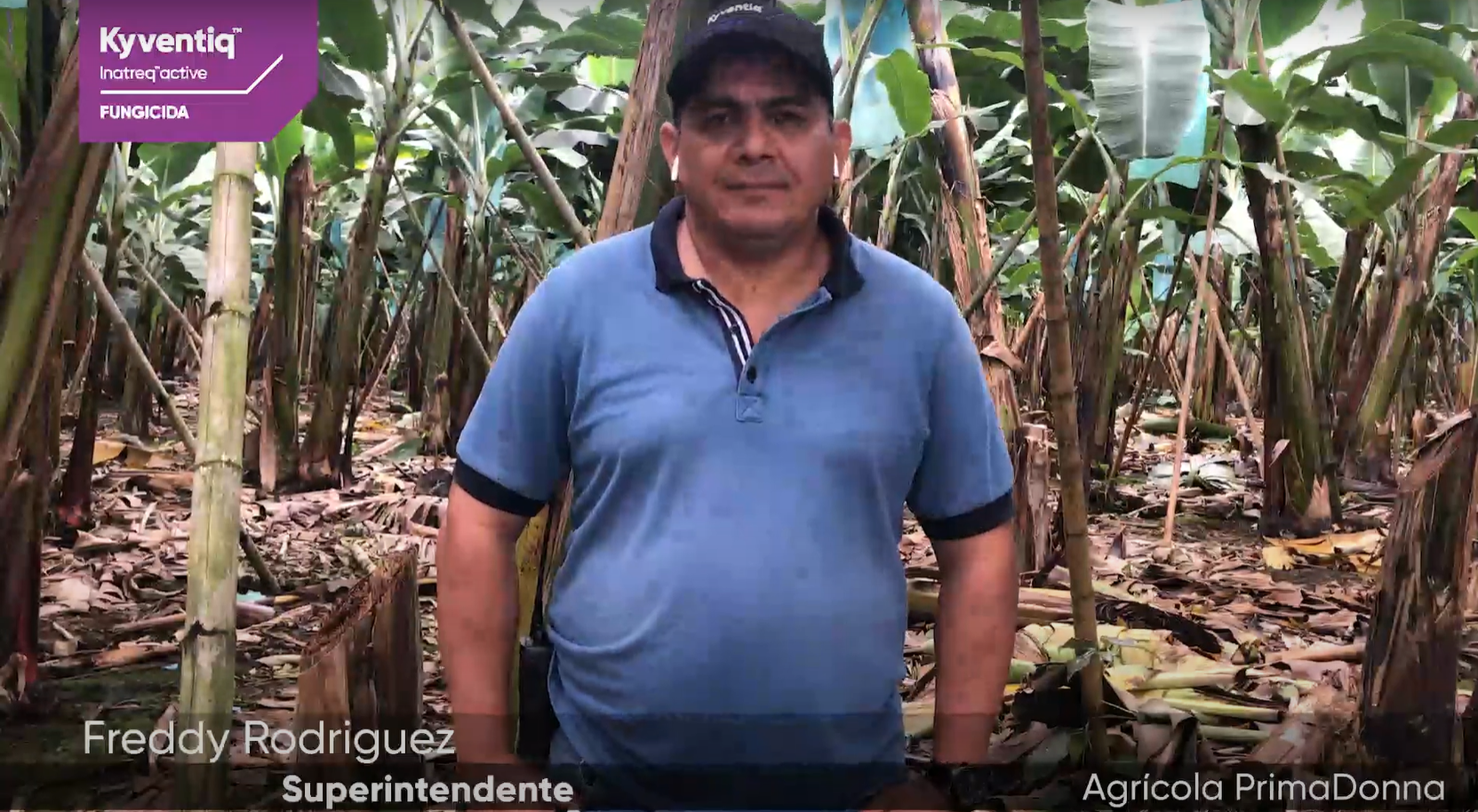 Kyventiq™ Ecuador | Freddy Rodriguez, Agricola PrimaDonna