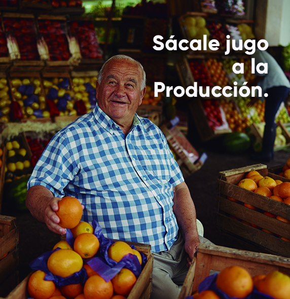 IMG-Cítricos-LA-MX-V1